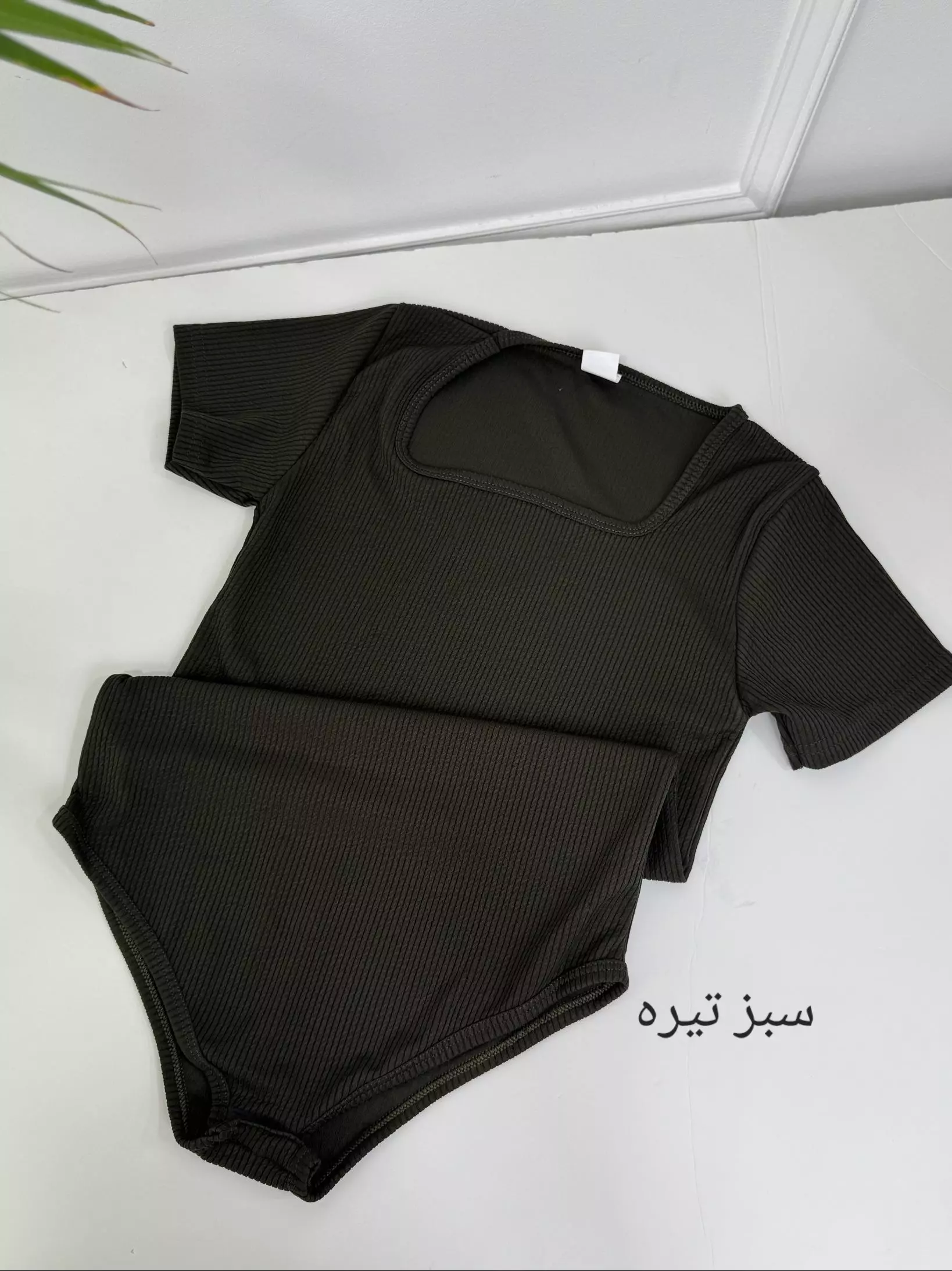 بادی آنیلا